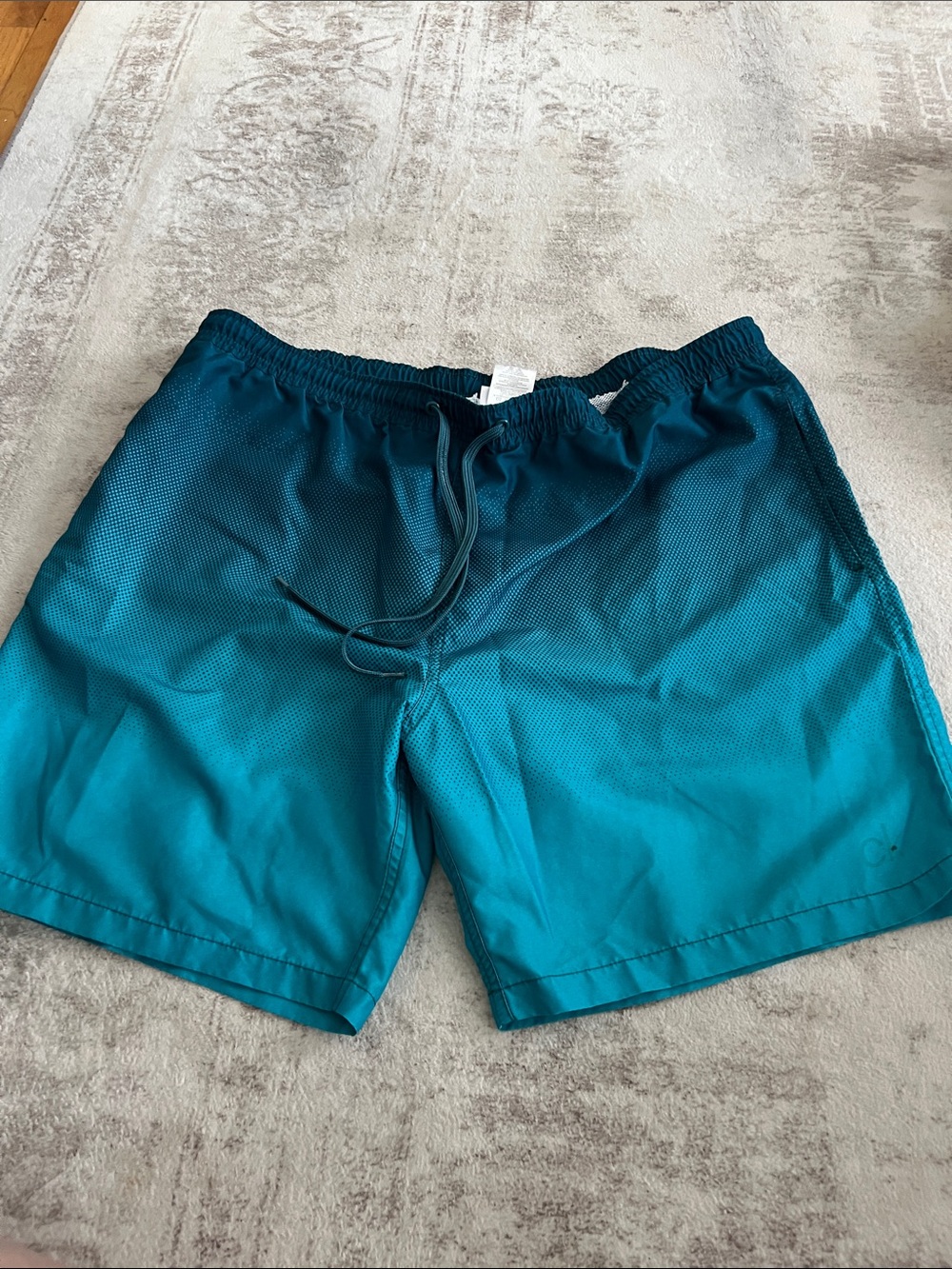 Men's Teal Ombre Athletic Shorts